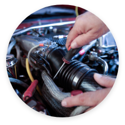 View All Services